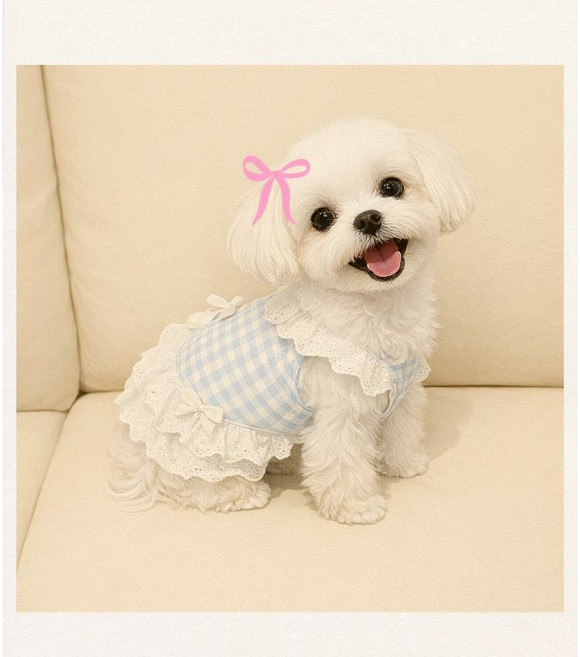 애견 레이스 원피스, 1개, 블루체크