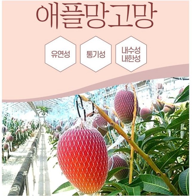 망고망 애플망고망 과일 채소망 100장 묶음 40cm
