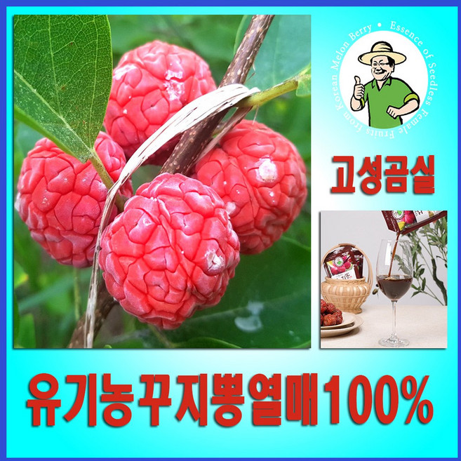 구지뽕 꾸지뽕 발효효소진액 국산유기농 구찌뽕열매100% 90ml 30팩, 2개, 2.7L