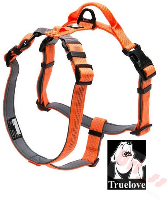 우리상회 트루러브 TLH6171 하네스 오렌지 애완견용품, XS, 1