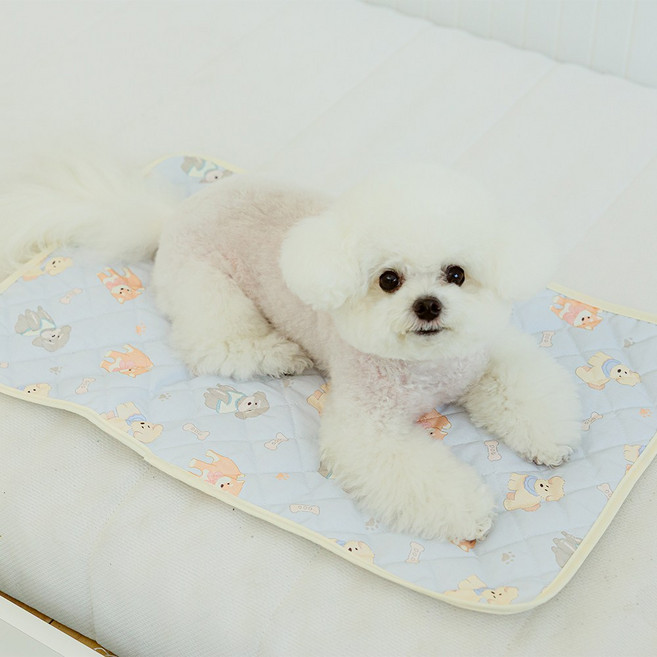 스카이몰 강아지 산책 매트, 1개, 강아지블루