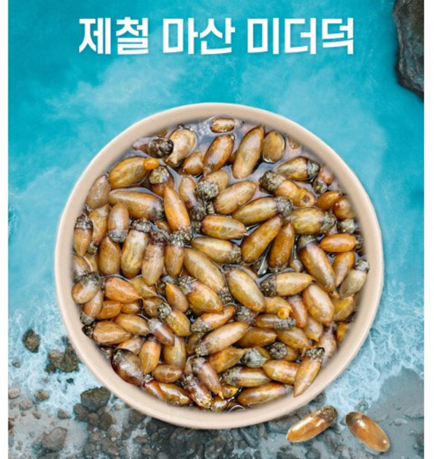 미더덕 오만디 산지직송 통영고성 마산어시장 참미더덕 오만디 손질횟감, 1개, 1kg
