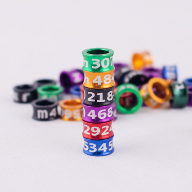 고급 클로즈드 앵무새 발목링 / 사이즈 5mm 6mm 7mm 8mm/ 앵무새 용품 발목링 새발목링, 8mm, 1개
