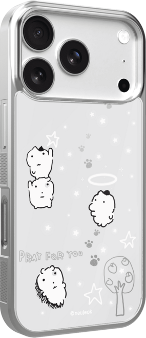 [168cm x 눈멍이] 실버 프레임 맥세이프케이스