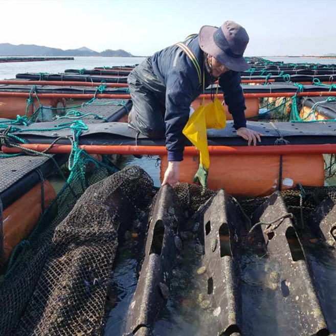 자연순수 국내산 완도 특대전복 8-9미 바다향 가득 신선 직배송, 3개, 1kg