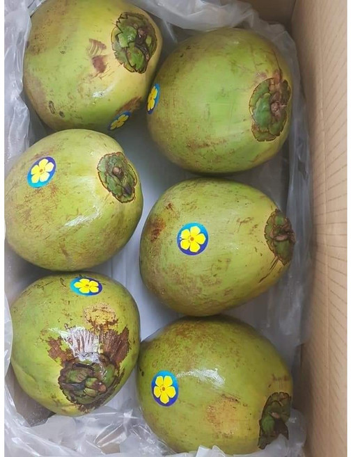 [프리미엄등급] 호아마이 베트남 그린 생코코넛 1 box, 1박스, 생그린 12과