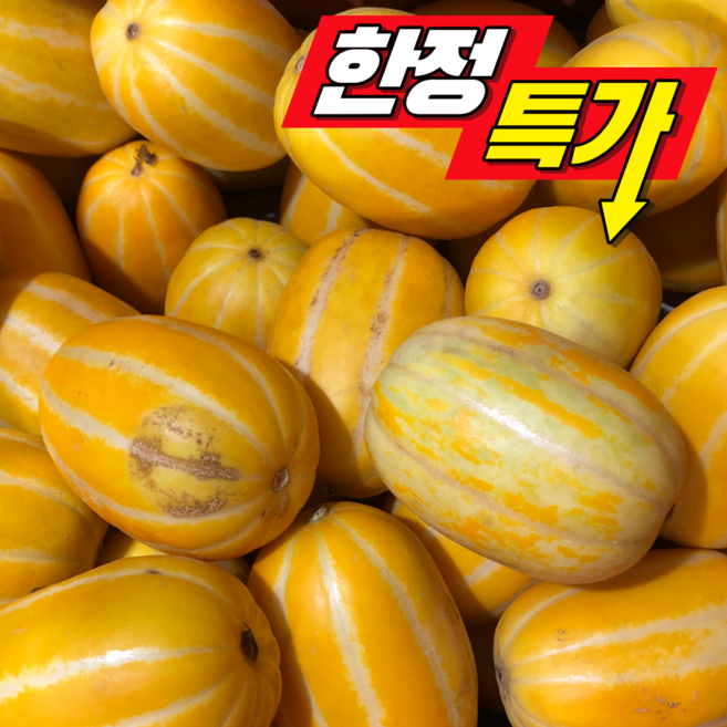 시즌특가 고당도 성주꿀참외 가정용 못난이, 1박스, 못난이 랜덤과 5kg(9-36과 내외)