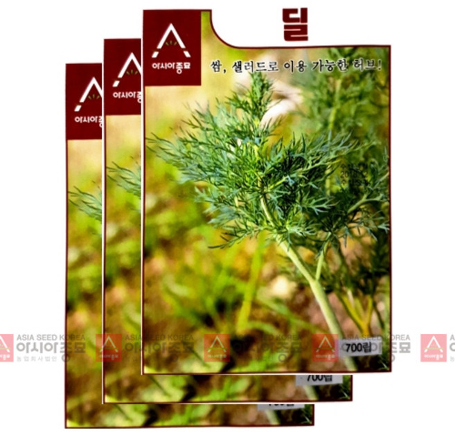 아시아종묘 씨앗 허브 딜 700립, 3개