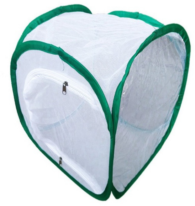 녹색 접이식 곤충 케이지 투명 메쉬 먹이 상자 식물 곤충 스크린 지퍼 개폐식 서식지 파충류 애완동물 케이지, 1개, [02] Sqaure 35cm