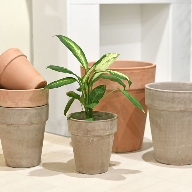 마이플랜트 EV 이브 바소 알토팟 이태리토분 (화분 단품), 1개, 모카