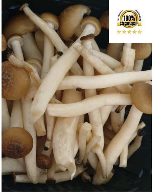 국내산 만가닥 버섯 갈색 만가닥 버섯, 1개, 4kg