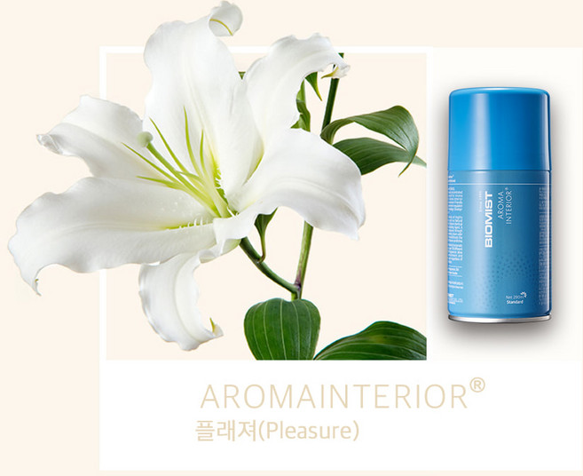 바이오미스트 아로마 인테리어 향기 방향제 (플레져), 290ml, 1개, 플래져