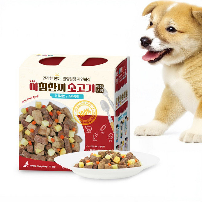 오아오 직화로 만든 아침한끼 강아지화식 큐브, 소, 600g, 1박스