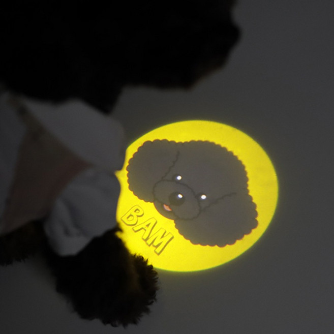 반려동물 강아지 인싸템 LED 빔 펜던트 브로치 패션펫플, B05 예민보스, 1개