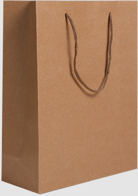 리드홈 고급 크라프트 종이 쇼핑백 극소 답례품 판촉물 개업식 돌잔치 결혼식 선물포장, 크라프트 도시락