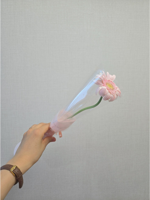 단루아 꽃한송이 답례품 꽃다발 생화 가성비꽃다발, 1개, 피콜리니(진한색)