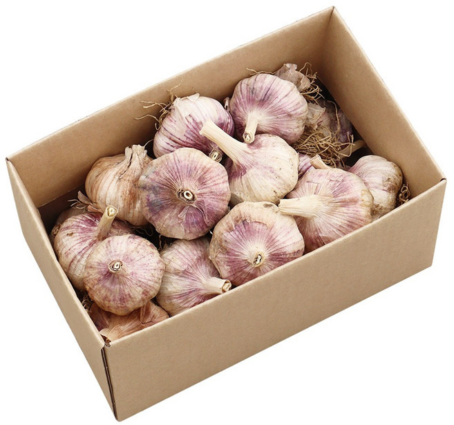 더옹달샘 햇 수확 국산 마늘 통마늘 1kg 중+대 혼합, 1개