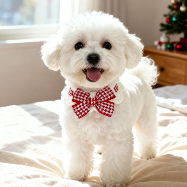 큐앤캐롯 반려동물 핸드메이드 니트 케이프 체크무늬 왕리본, 빨강, 1개