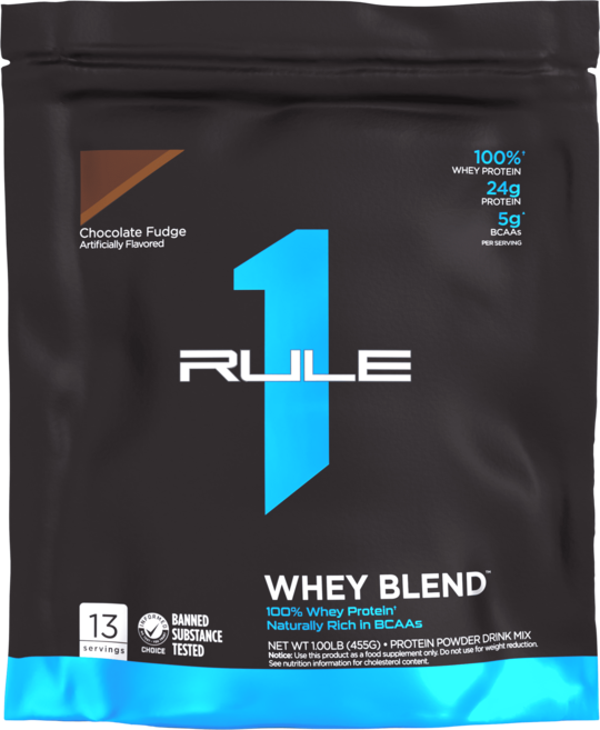 Rule1 룰원 웨이블렌드 초콜릿퍼지, 1개, 460g