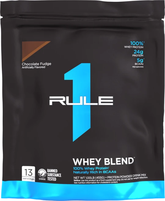 Rule1 룰원 웨이블렌드 초콜릿퍼지, 1개, 460g - 쿠팡