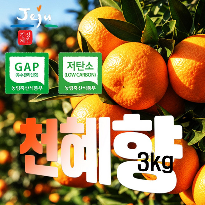 제주산 GAP 저탄소 천혜향 감귤 - 바로 수확해 보내는 감귤, 1박스, 3kg