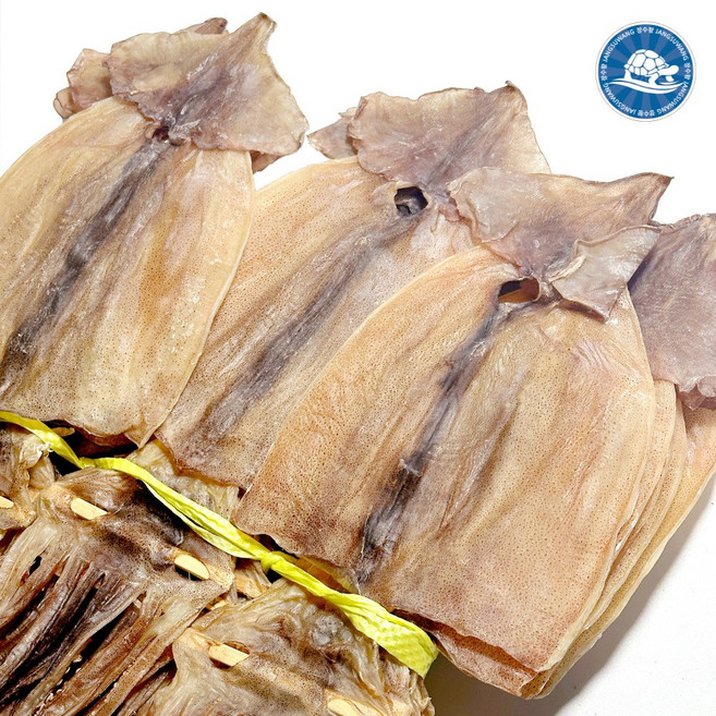 동해안 건조 오징어 마른오징어 건오징어 (10마리), 1개, 500g