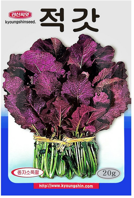 경신종묘 갓씨앗 적갓 20g, 1개