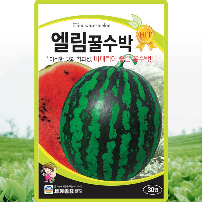 세계종묘 엘림꿀수박 씨앗 30립 단타원형 수박씨 종자, 3개