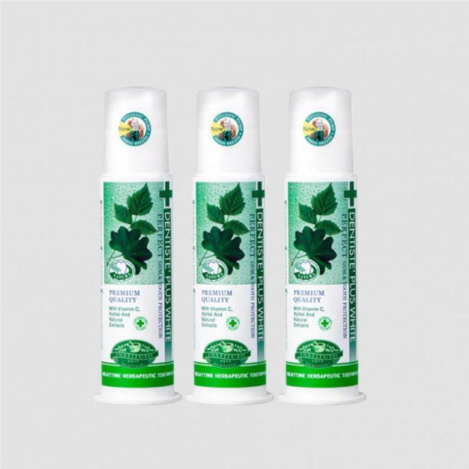 덴티스테 뉴플러스화이트 치약 펌프 170g x 4개 코스트코코리아정품