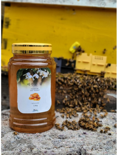 제주 벌꿀 자연꿀 때죽꽃 꿀 2.4kg 때죽꿀, 1개