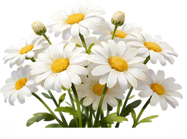 월간리빙 데코 인테리어 포인트 벽지 꽃 스티커, 데이지