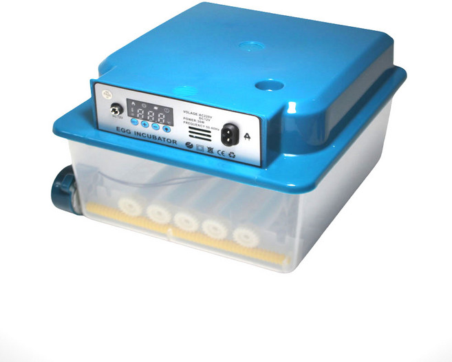 락미 병아리부화기 달걀부화기 메추리 자동부화기 220V 16구 최신형, 1개, 블루