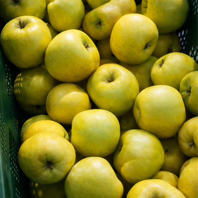 양구프리미엄 시나노골드 14BRIX이상, 1박스, 고당도 14BRIX이상 시나노골드 3KG