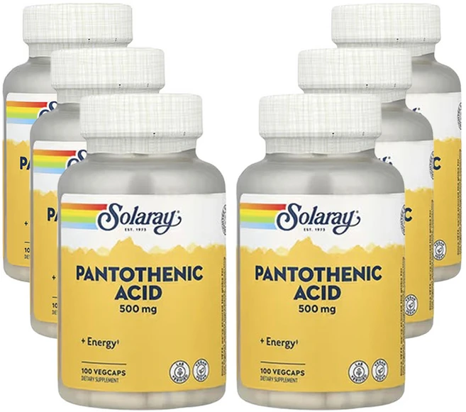 솔라레이 판토텐산 500mg 100 베지캡슐, 100정, 6개 - 쿠팡