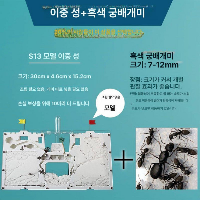 개미집 개미 키우기 관찰 키트 세트, 1개, S1350마리도구개미사료면조립
