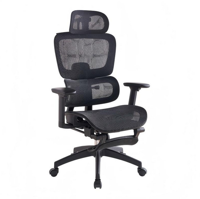 HOMEY NEST 꽃무늬 풀메쉬 사무실 사무용의자 3D 허리디스크 예방 컴퓨터 책상 의자 HN-X562, 블랙
