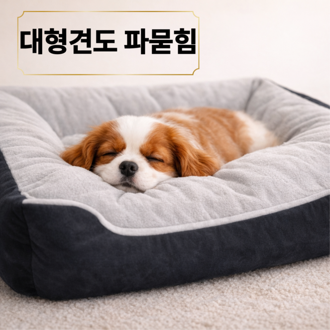 리엔토 사계절 반려동물 세탁가능 강아지 방석, 1개, 블랙, 그레이