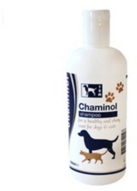 [동물병원전용]챠미놀 약용샴푸 200ml/500ml 세균/곰팡이 억제 강아지고양이겸용, [동물병원전용]챠미놀 약용샴푸 200ml, 1개, 200ml