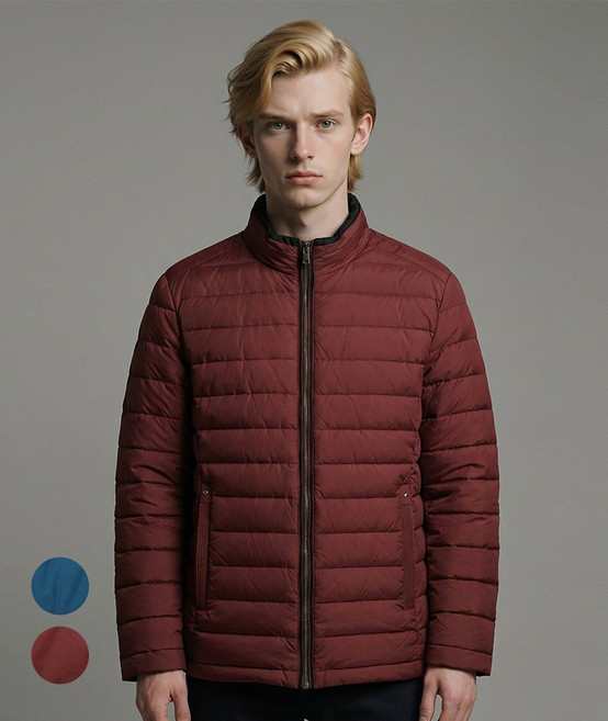 [TAG가 298 000] 데일리 라이트 구스 다운 패딩 CDAA2JP4204