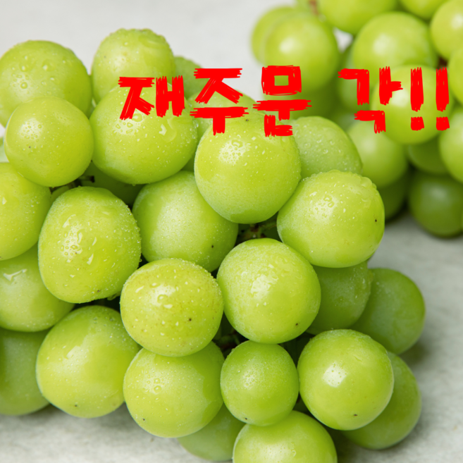 100박스 샤인머스켓 아삭달콤 초고당도, 1박스, 2.4kg(3송이)프리미엄