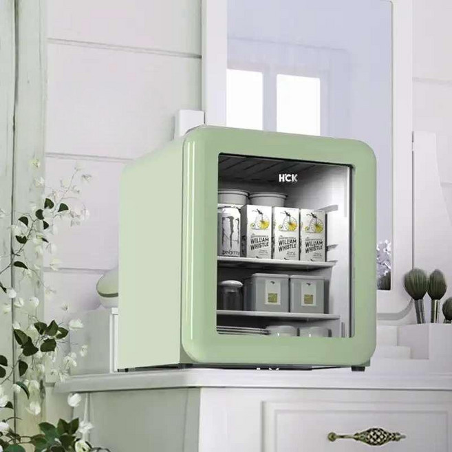 미니 화장품 냉장고 레트로 소형 무소음 스킨 케어 보관 42L, 42L민트그린