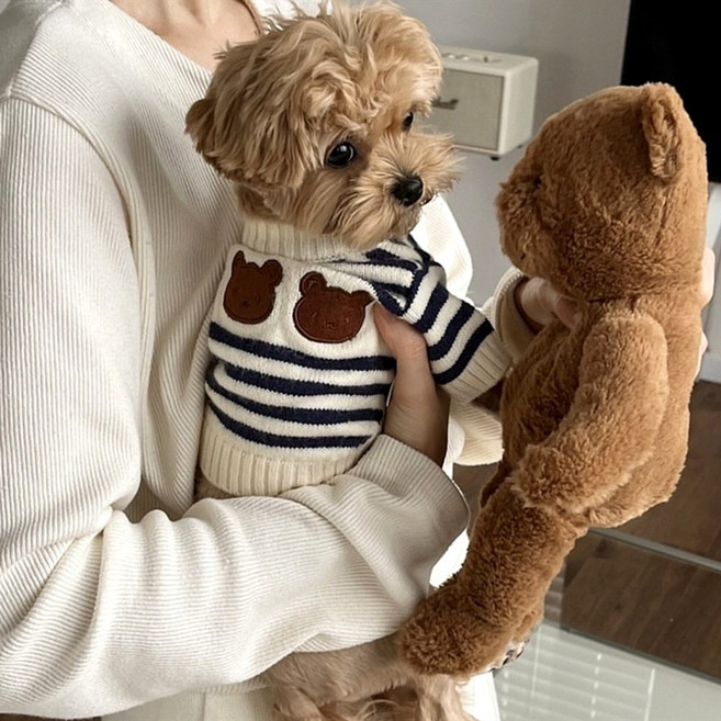 강아지 고양이 가을 겨울 스트라이프 니트 스웨터 - 토이푸들 비숑 포메라니안 소형견옷, 네이비블루
