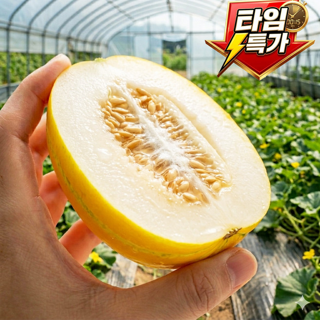[백화점납품] 성주 참외 꿀참외, 1박스, 2kg 랜덤과