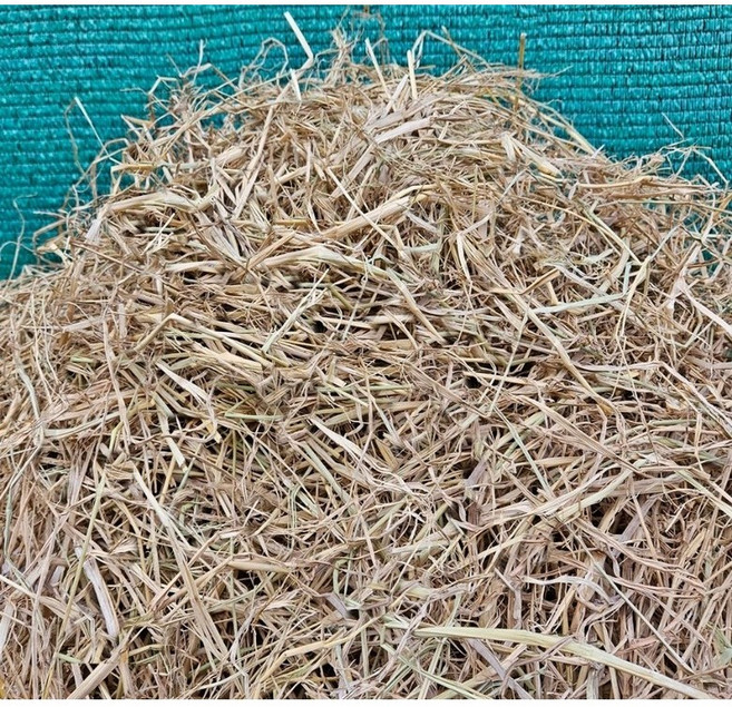 볏짚 지푸라기 동물 조류 보온 보습 볏짚 숯불 바베큐 캠핑 짚불 친환경 볏짚1kg, 1개