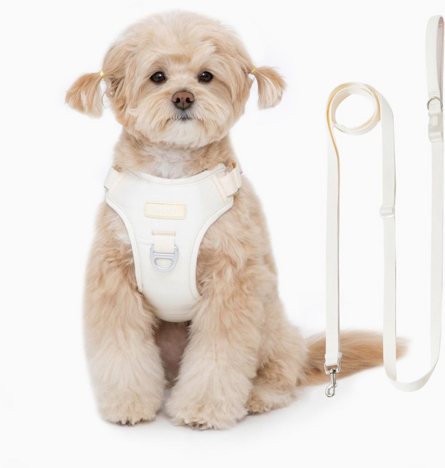 펫펫펫 강아지 하네스 + 리드줄 세트, 베이지, 1