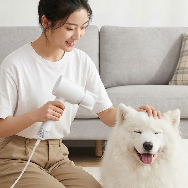 프리미엄 플라즈마 헤어 드라이기 초고속 모터 저소음 헤어 드라이어, 화이트, C-931