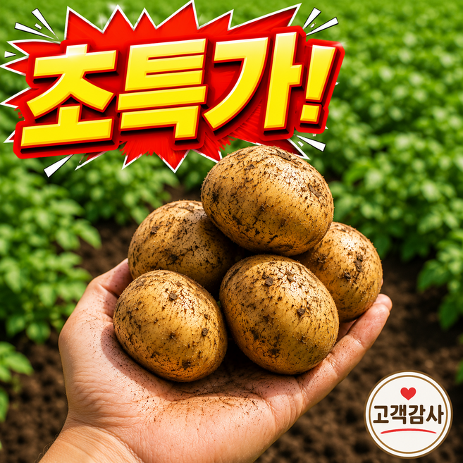 [고객감사초특가] 26년 수미 햇 감자 국내산 경남 산지직송, 1박스, 햇감자 3kg(중)