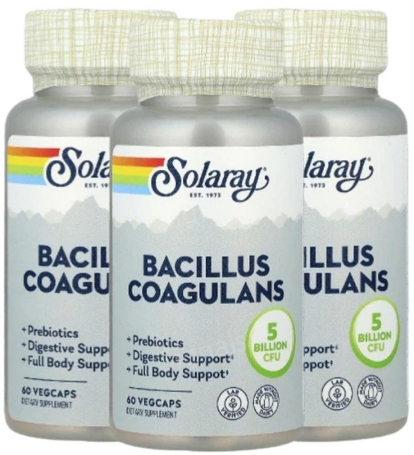 솔라레이 프로바이오틱스 바실러스 코아귤런스 유산균 50억 60캡슐 3개 프리바이오틱스, 60정 - 쿠팡