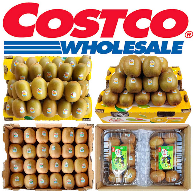 코스트코 골드 그린 루비레드골드 키위 제스프리골드 그린 4.8kg 5.6kg 10kg 골든 1박스 특대과 특대 점보 왕점보 당뇨에좋은 당뇨 변비 임산부 제철 뉴질랜드 다이어트, 1개, 코스트코 제스프리 그린키위 4.9kg(35개~45개), 코스트코 제스프리 그린키위 4.9kg(35개~45개)