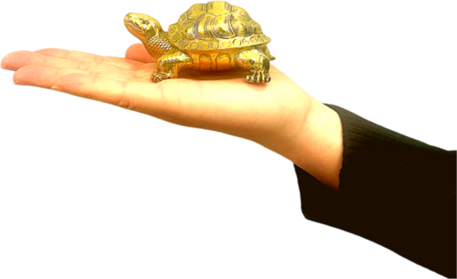 황금거북이 풍수 무병 장수 집들이 인테리어, 소형, 1개